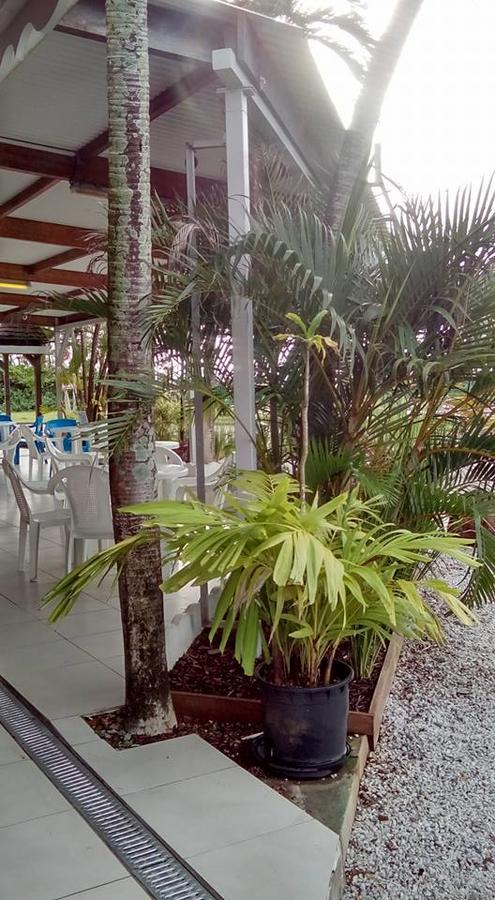 Hotel Des Amandiers Cayenne Exteriér fotografie