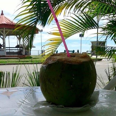 Hotel Des Amandiers Cayenne Exteriér fotografie