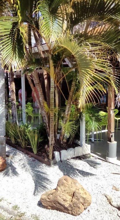 Hotel Des Amandiers Cayenne Exteriér fotografie